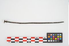 Foto von Bronzevasenkopfnadel (NHMW-PRAE-025848)